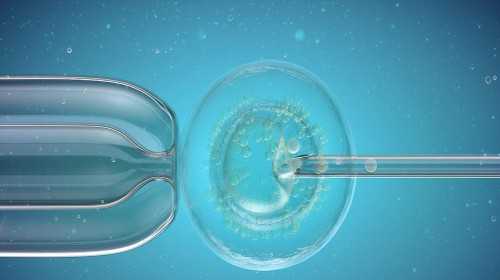 医院做供卵试,2023唐山三代试管助孕供
