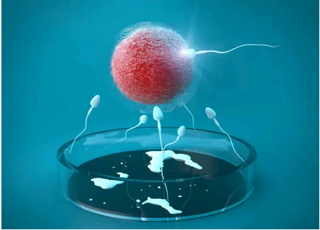 卵巢早衰一般会怀孕吗&试管助孕,助