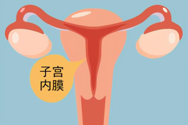 宫腔粘连还能试管怀孕吗&供卵试管根正,生儿子和生女儿，到底有多大区别？