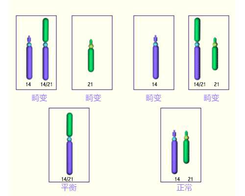 羊奶粉排名前十名的牌子（你知道吗？）