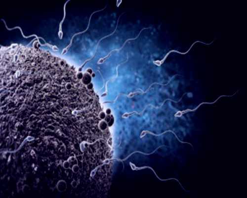 广州试管婴儿哪间最好,试管婴儿广州哪家医院最权威~代生孩子宝宝