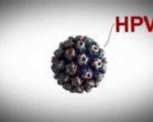 代孕生得孩子是自己的吗&找代孕多少钱,红枣黑豆炖鲤鱼轻松告别孕期水肿