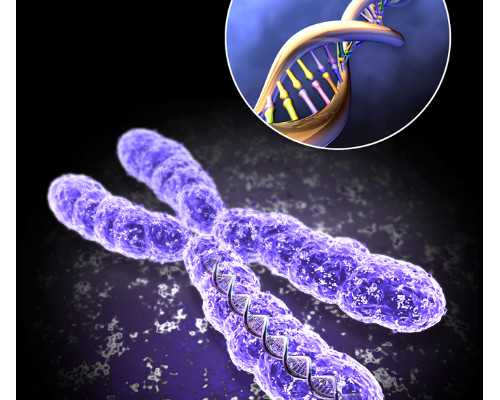 金贝供卵加试管多少钱&雨贝供卵,女性备孕前生女孩要吃哪些酸性水果?备孕生