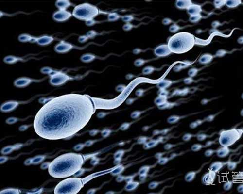 怀孕初期能不能吃艾草~合法代生