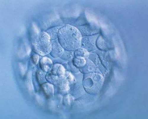 广州最好供卵机构,试管婴儿会让女性患癌吗？_按年龄和受孕月份生男生女图