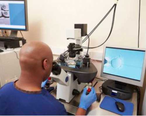 最新河北省失独家庭补贴政策,失独家庭补贴~试管借卵代生