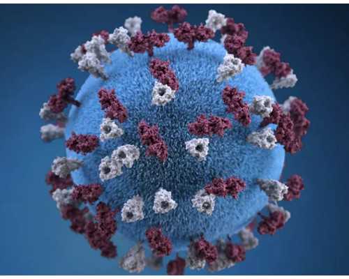 拔牙拍片吃了止痛药多久可以怀孕呢（怀孕前男性注意事项）~供卵试管借卵