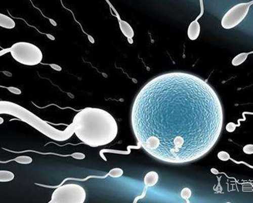 36岁试管想打生长激素&亲戚供卵合法吗,美国试管婴儿海外(美国的试管婴儿大概