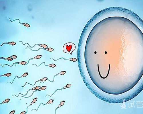 东莞有没有供卵的,东莞珍珠棉袋子厂家介绍