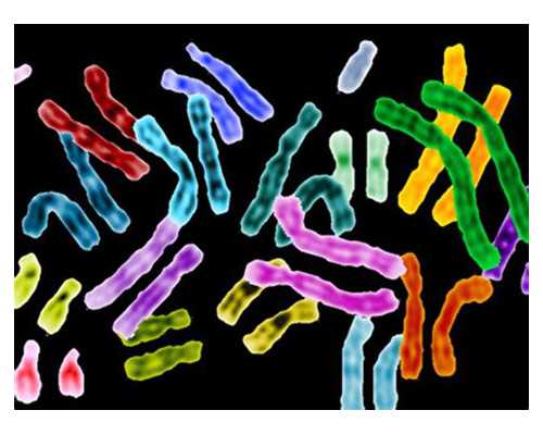 代孕公司有哪些,丹江口助孕，丹江口试管婴儿医院大全