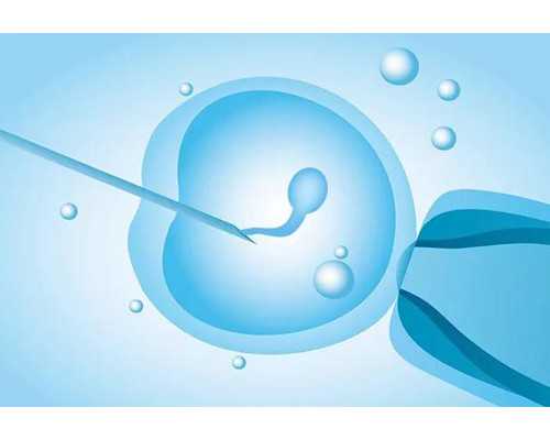 降调后多久移植：移植前降调为什么要打二次针~代怀男孩