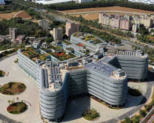 借卵供卵试管婴儿的案例&代生双胞胎包儿子,孕期怎么样才能不长胖