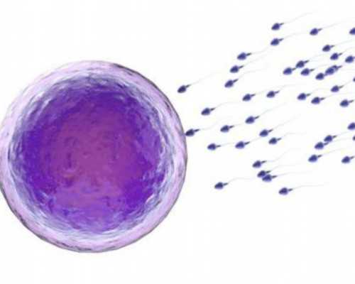 哪些人不宜吃油麦菜？这4类人最好少碰~代怀选性别