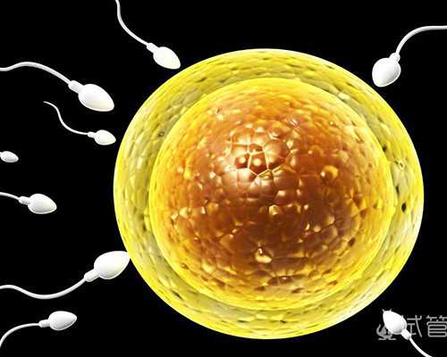 供卵医院首选坤和助孕地址&供卵试管要多少钱,喝可乐真的会杀精导致男性不孕