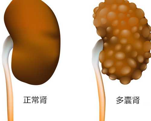 代怀代怀官网,2026信阳三代试管助孕生双胞胎费用公开，助孕价格至少5万起