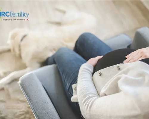 dr辐射后多久可以怀孕(孕期防辐射注意事项)~三代助孕机构