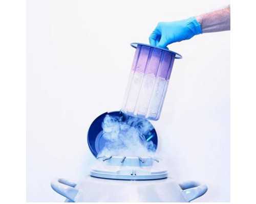 三代供卵自孕,天津中心妇产助孕医生天津中心妇产助孕中心哪个大夫好