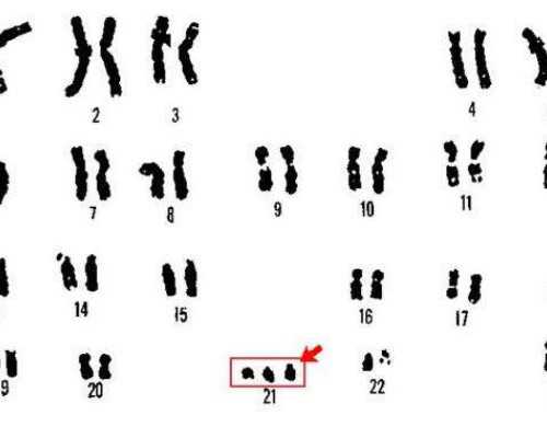 移植后多久开始停药比较好?移植成功后药一般吃多久?~试管包生男孩