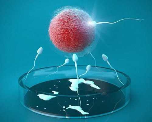 广州找代生医院,琼海做试管婴儿4次失败，还有哪家医院成功率会更高？_供卵试