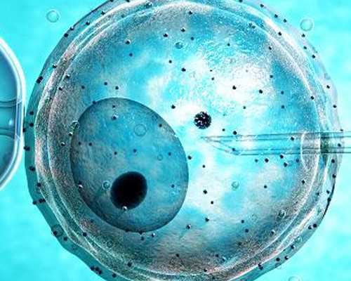 哪里代怀好,现在做滁州助孕第三代试管婴儿贵吗