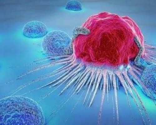 绝经还有怀孕可能吗&试管婴儿供卵多少钱,邢台不孕不育医院大全,2026排名好的