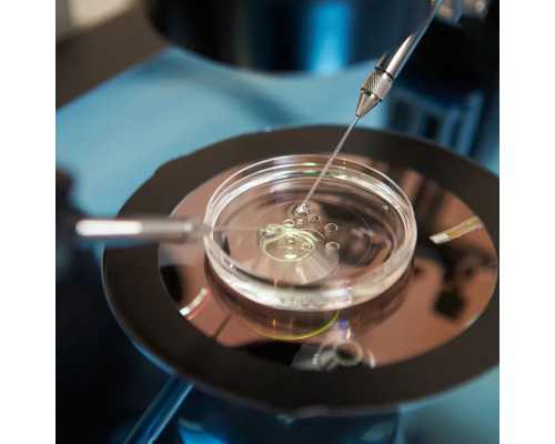 佛山国内供卵试管,佛山供卵试管婴儿费用多少？