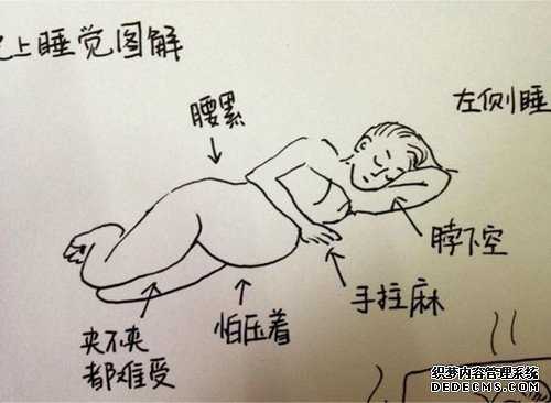 广州个人代孕电话_广州试管婴儿代孕助孕_福孕助孕网