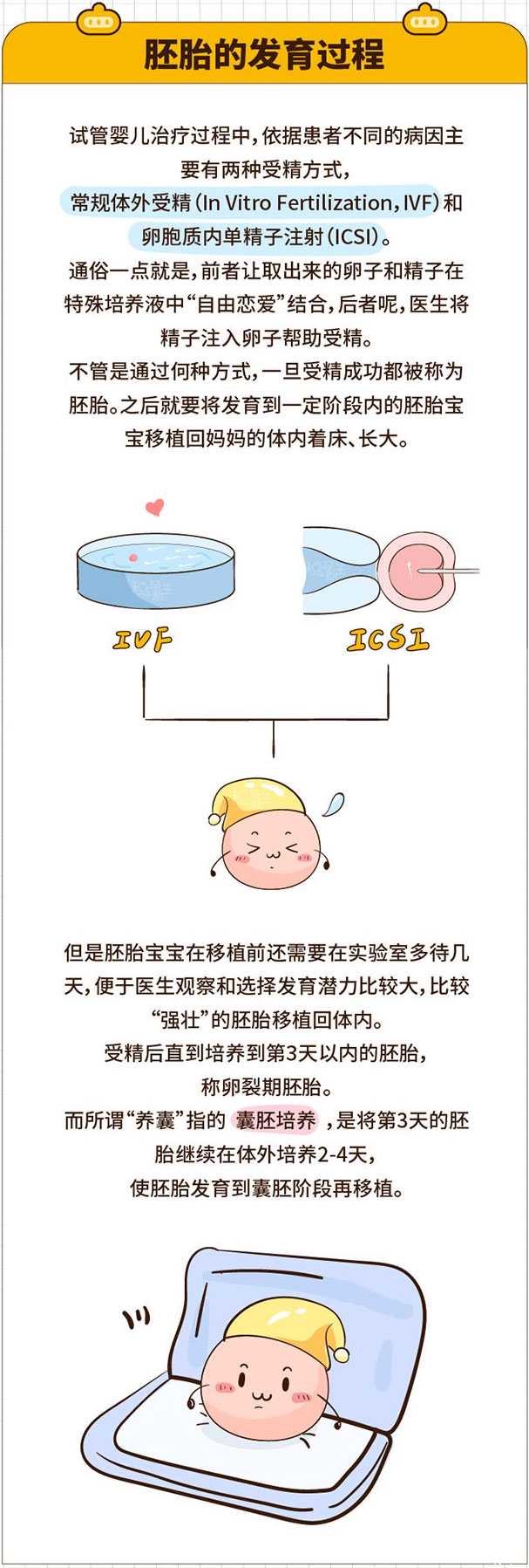 清苑县合法代怀孕产子_泰国试管婴儿培养囊胚成功率更高吗？